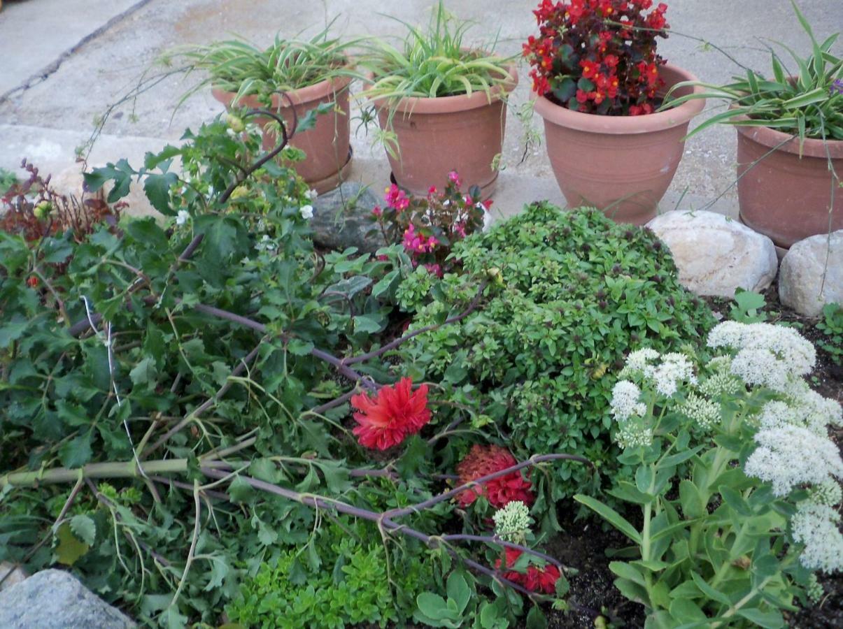Filyra Daire Pelion Dış mekan fotoğraf
