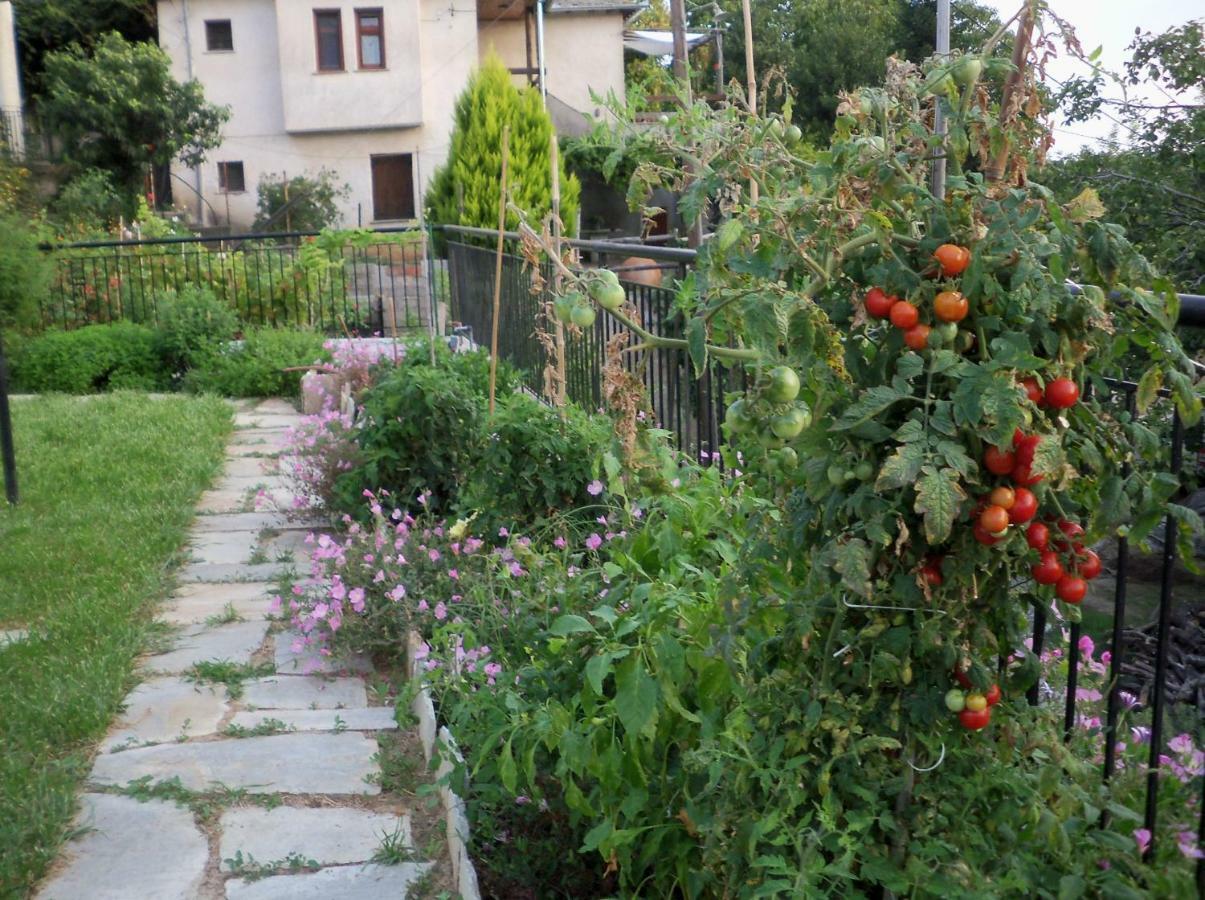 Filyra Daire Pelion Dış mekan fotoğraf